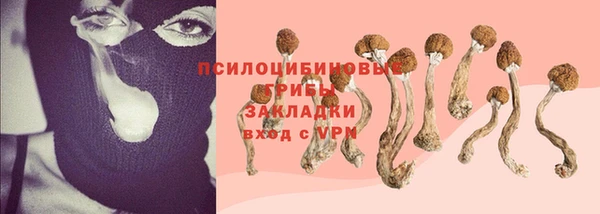 крисы Алексеевка